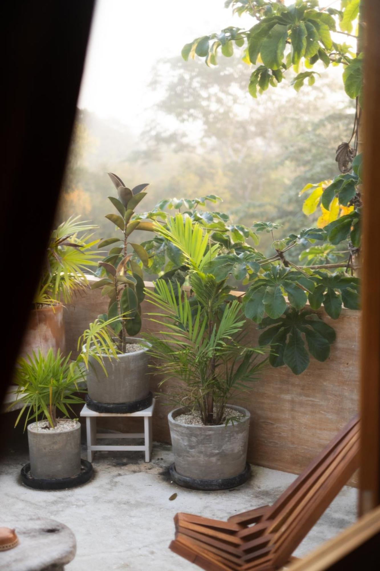 Bed and Breakfast Galopina Seye Exterior foto